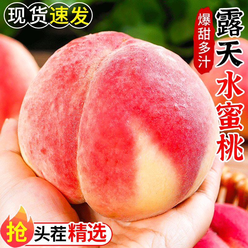 现货！现摘现发，正宗水蜜桃图片