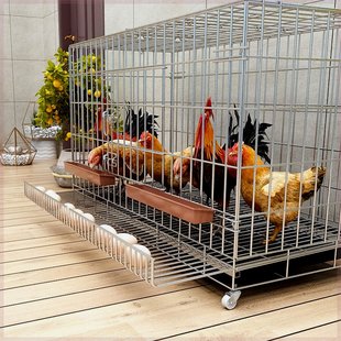 鸡笼子家用养鸡笼大号特大号自动清粪折叠养殖笼鸡舍铁丝网鸭鹅笼