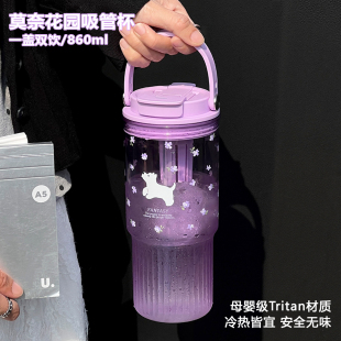 新款 浮想吸管杯大容量水杯女生高颜值便携塑料杯子随行杯外带夏季