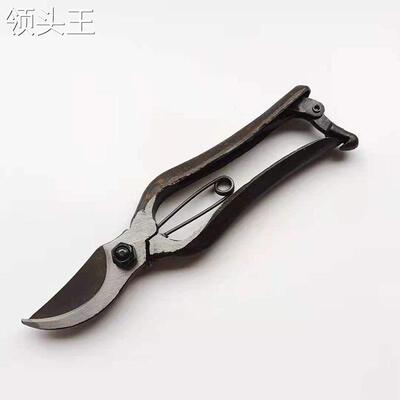 老式锻打神鱼果树剪修枝剪园艺剪刀省力剪刀粗枝剪修树枝剪摘果剪