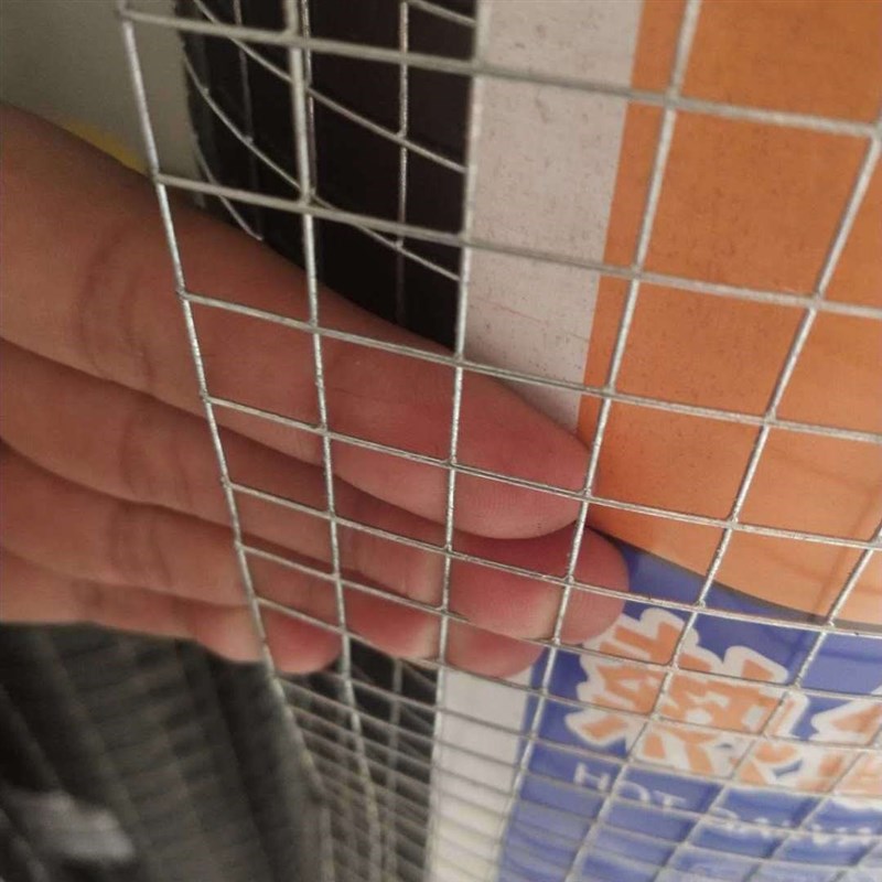 铁丝网围栏拦鸡网不锈钢加粗热镀锌电焊网格防裂抹墙网小孔养殖网