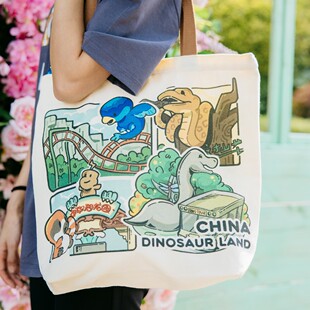 中华恐龙园手绘帆布包卡通可爱单肩环保购物袋大容量休闲百搭礼物