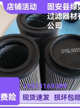 回油过滤器DYSL-50/25W液压油过滤器滤芯
