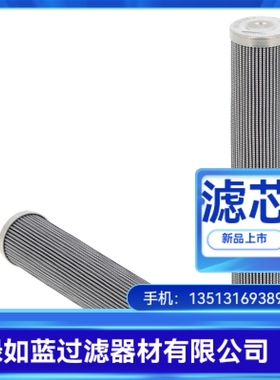 Rexroth力士乐厂家直销R928006782 2.0100 H10XL-A00-0-V滤芯