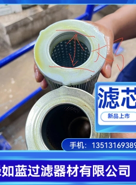 CAMERON卡梅伦AAP1401435-01233过滤器滤芯