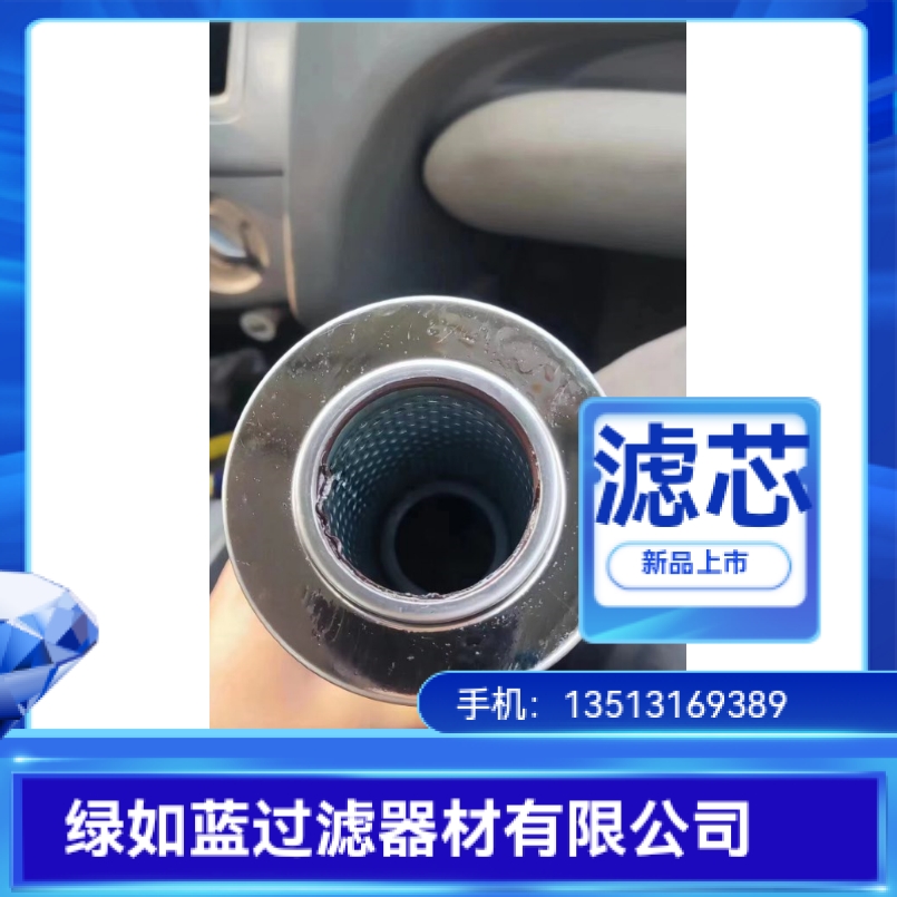 DEA AP3E301-02D01V/-F EH油过滤器滤芯 Eh oil filter