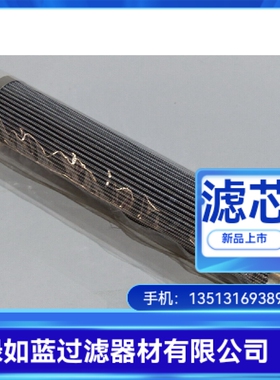 Rexroth力士乐R928006979 2.0630 H6XL-B00-0-M滤芯