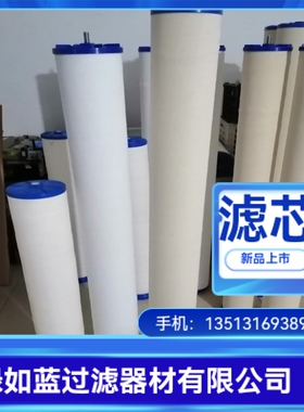 液化石油气聚结滤芯 LPG coalescence filter