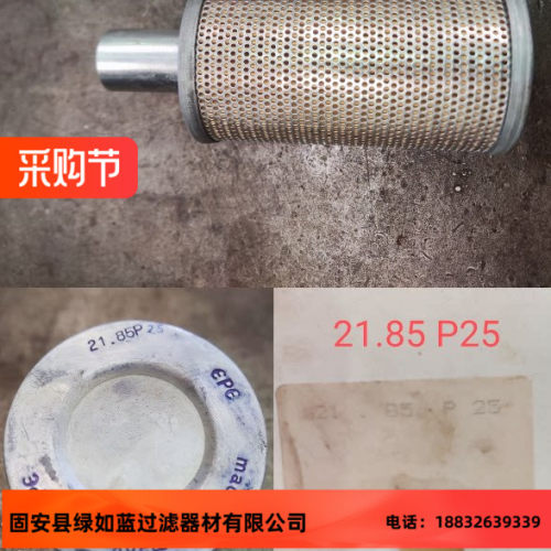 EPE D-68775 Ketsch 21.85 P25润滑油滤清器