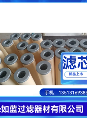 11CCV410-150/1.6 11CC02-150X1120油罐车聚结滤芯