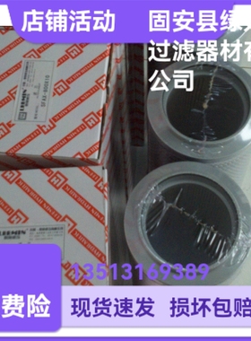 LEEMIN黎明厂家直销 SFAX-800X10双筒微型直回式回油过滤器滤芯
