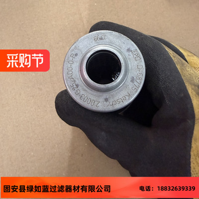 EPE D-68775 Ketsch 2.0003 G25-A00-0-P金属网滤芯