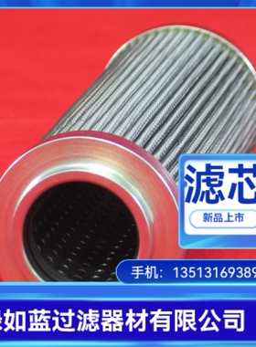 EATON伊顿厂家直销 300153 01.E170.6VG.HR.E.P-6VG滤芯