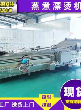 供应波斯菜漂烫机现货大产量榨菜杀青机莲藕片漂烫护色机厂家