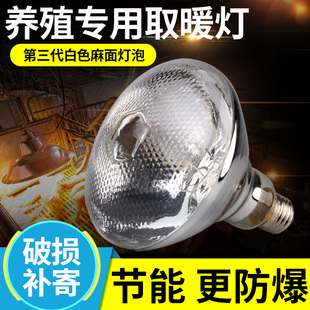 保温灯养殖场专用小鸡育雏烤灯取暖猪场灯泡加热兽用猪舍冬季保暖