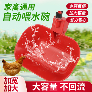 鸡鸭鹅自动饮水碗喂水器加大家禽宠物猫狗兔养殖神器加宽饮水器
