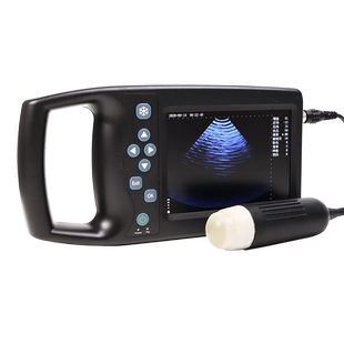 兽用B超机猪用彩超机牛羊用测孕仪器畜牧b超机高清便携检孕仪包邮