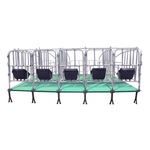 母猪定位栏2.5厚度限位栏猪用漏粪板复合板10母猪位产床保育两用