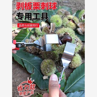剥板栗刺球神器栗子外壳去皮毛夹脱蓬器开口超省力拨板栗开壳工具