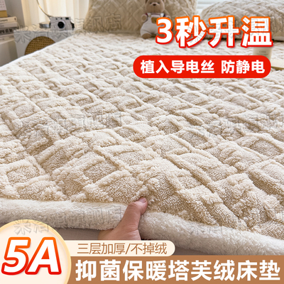 毛毯床垫秋冬加厚防滑抗静
