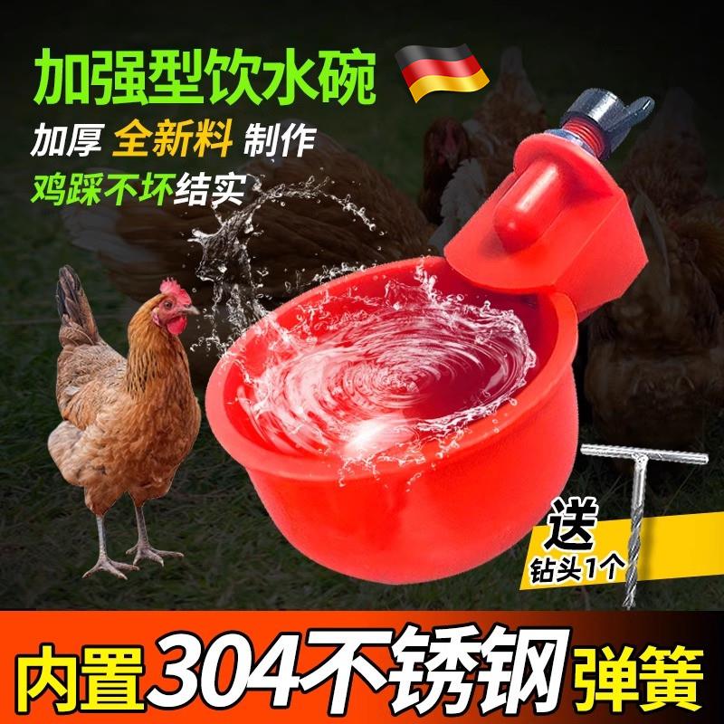 养鸡用自动饮水器鸭鹅碗鸽