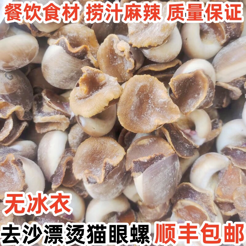 鲜活冷冻猫眼螺大香螺特大红沙螺白玉螺海螺肉肥海鲜食材商用批发