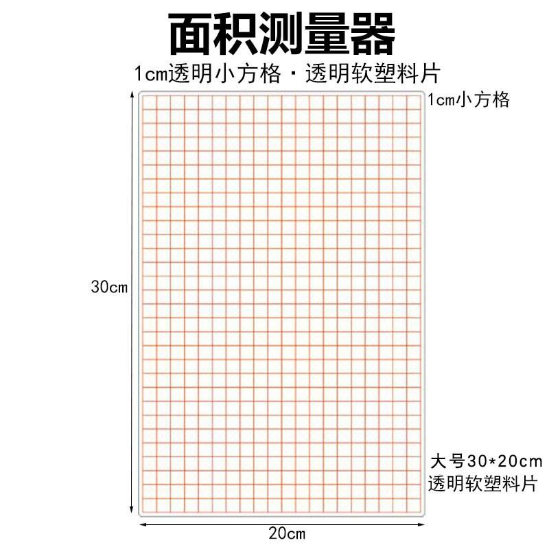 面积测量器透明小方格小学数学教学仪器学具方格纸20*30cm-封面