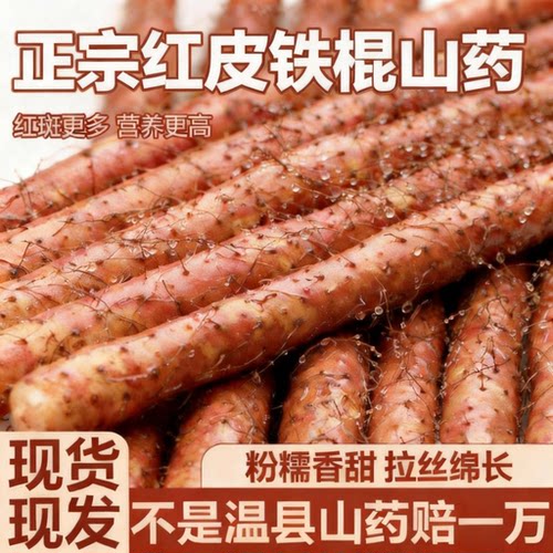 密集铁锈铁棍山药实惠装根根甄选
