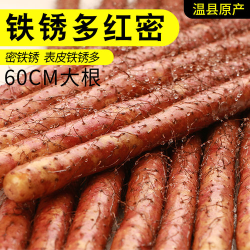 密集铁锈铁棍山药紫红皮正宗