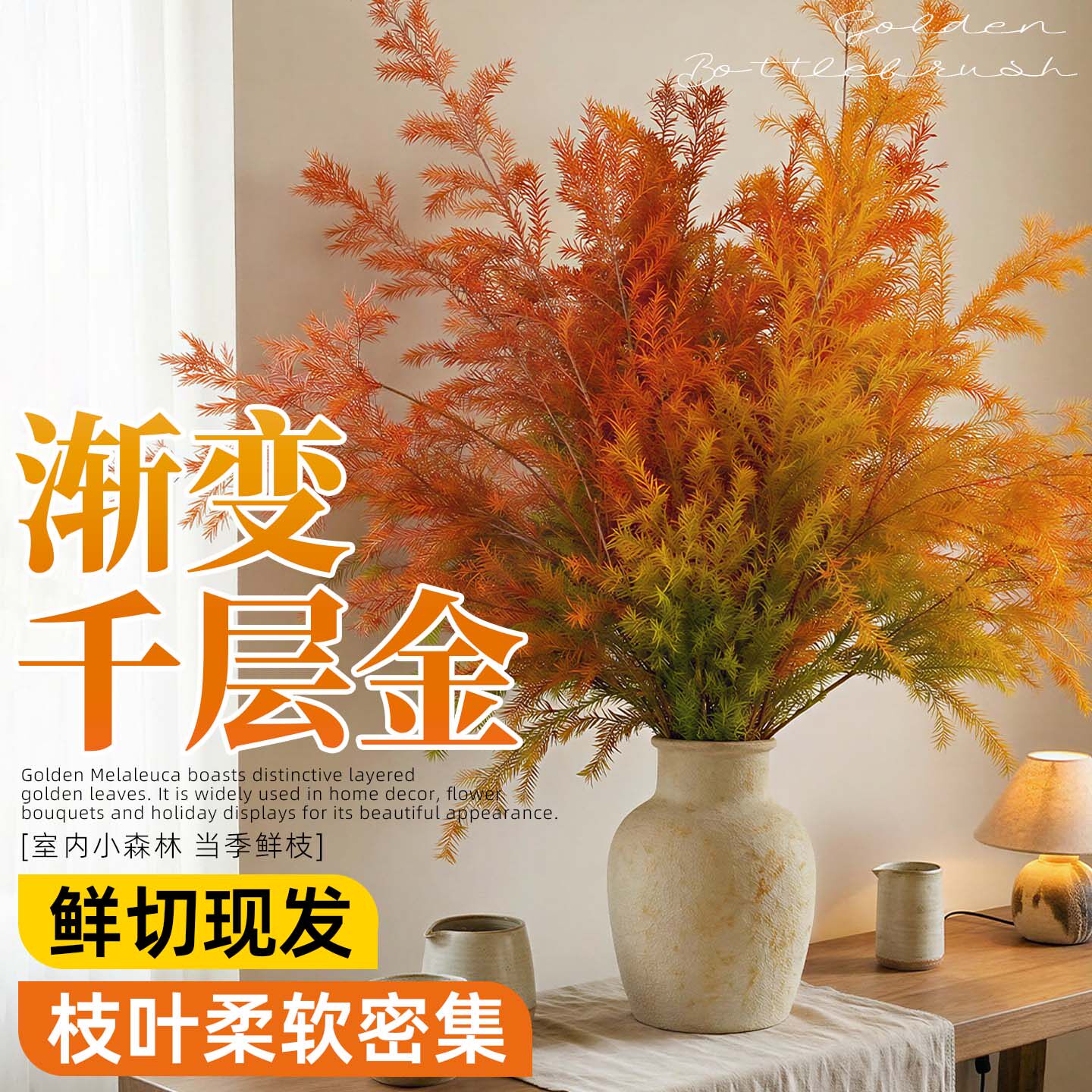 新鲜切花千层金高品质永生花黄金香柳优选水培绿植室内外插花植物