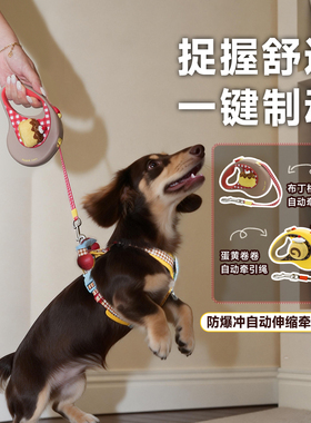 TuffHound它愿自动伸缩狗狗牵引绳中小型犬宠物专用防爆冲狗链子