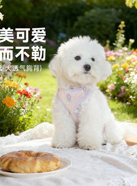 tuffhound它愿狗狗牵引绳背心式猫咪狗绳子小型犬胸背带小狗胸背