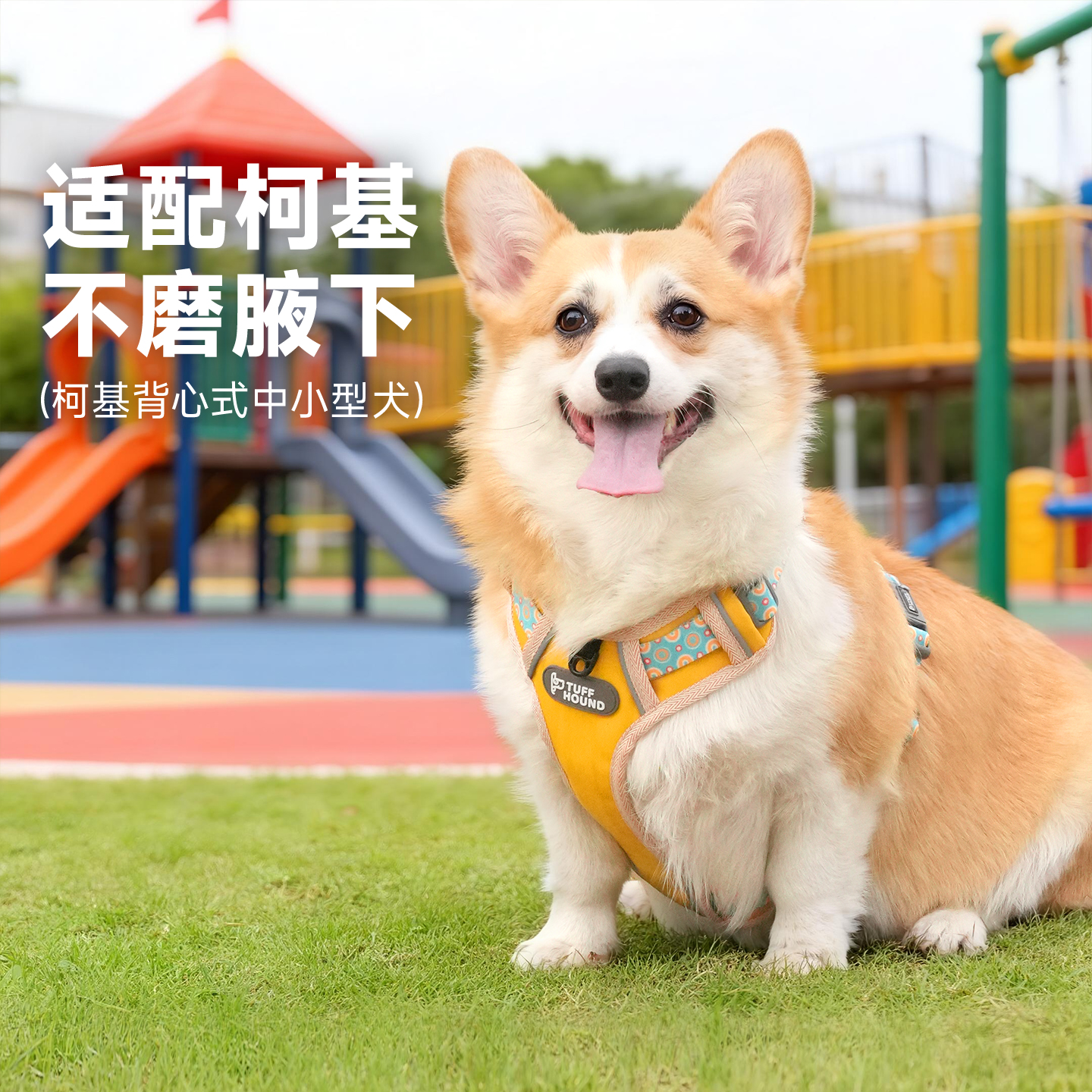tuffhound狗狗胸背带牵引绳柴犬