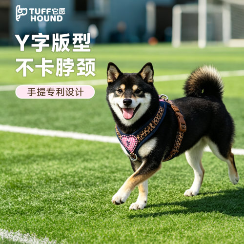 它愿狗狗胸背配防爆冲狗绳套装