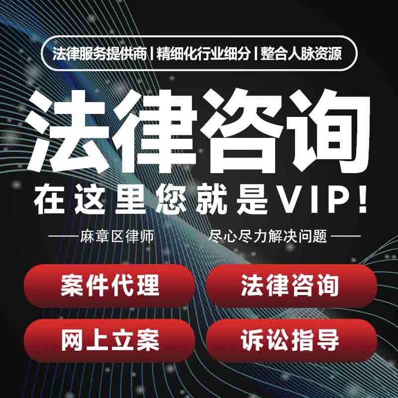 湛江麻章区律师咨询代理起诉书网上立案出庭调解代写拟文书劳动诉