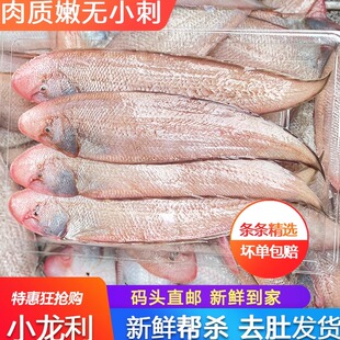小龙利鱼新鲜冷冻非巴沙鱼海鲜水产鱼柳鱼片辅食一斤装约9条广东