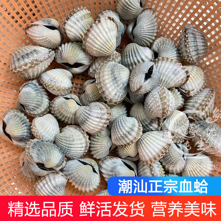 血蚶鲜活新鲜血蛤贝类潮汕生腌