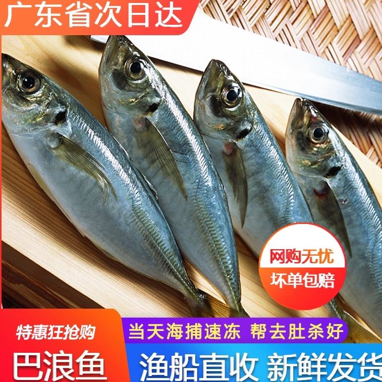 新鲜当天烧烤真空一斤装巴浪鱼