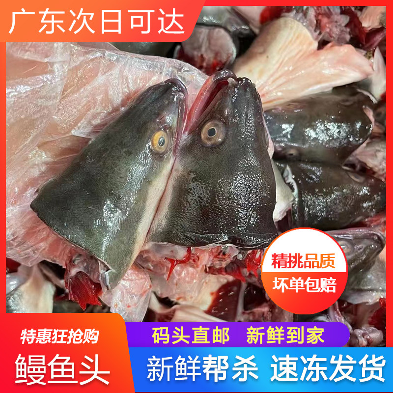 新鲜冷冻鳗鱼头广东特产