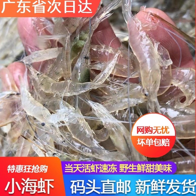 小河虾小白海虾鲜活速冻补钙营养海鲜水产冷冻速冻商用小土虾狗虾