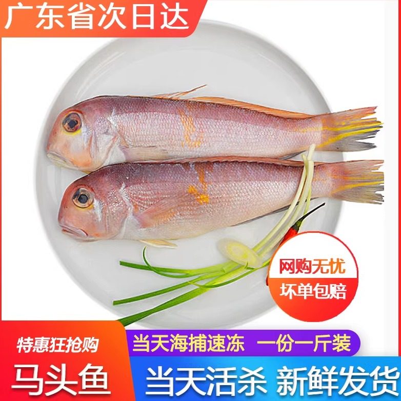 马头鱼新鲜冷冻海鲜水产鲜活马面鱼海捕方头鱼斧头鱼500g广东