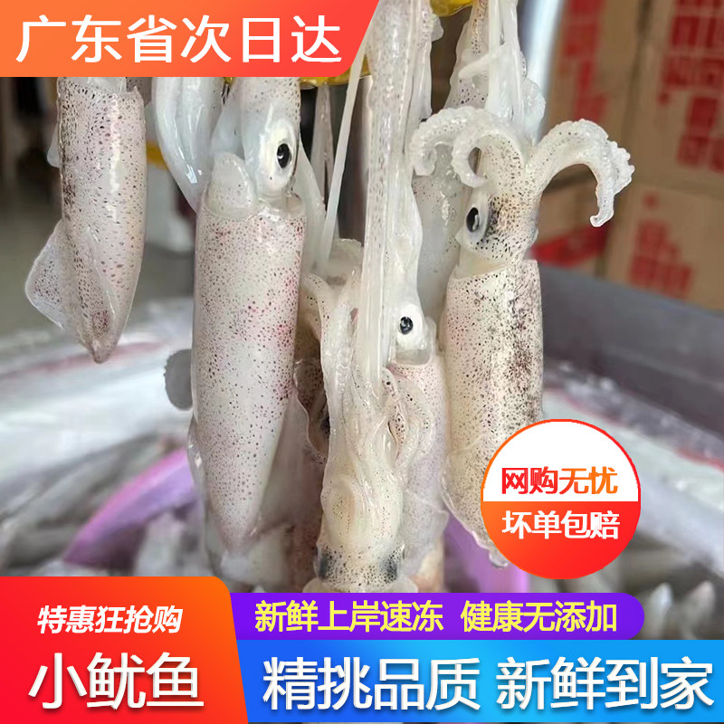 鲜活鱿鱼仔野生水产一口400g小管