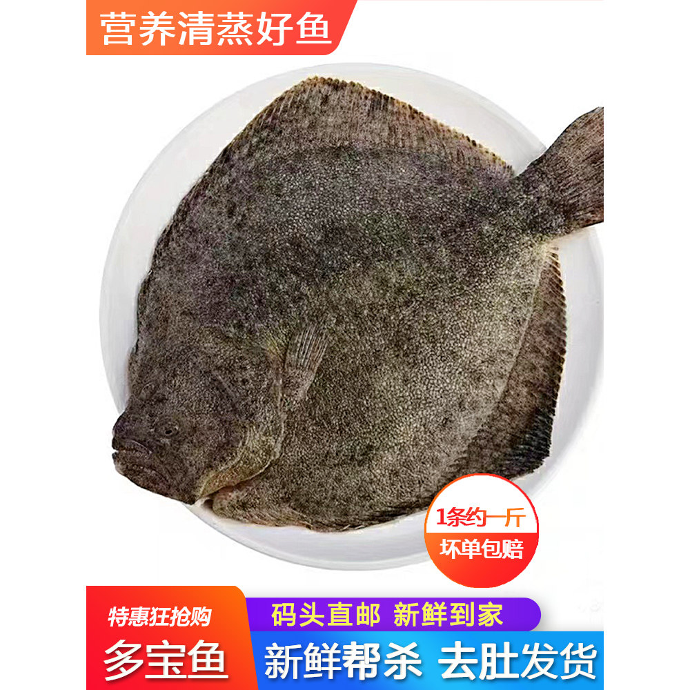 多宝鱼新鲜鲜活冷冻比目鱼鸦片鱼