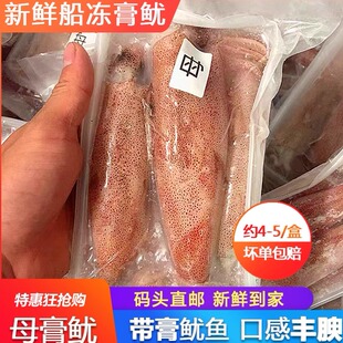 带籽海兔子母鱿鱼鲜活墨鱼仔海鲜水产冷冻一份400g装 满籽笔管鱿鱼