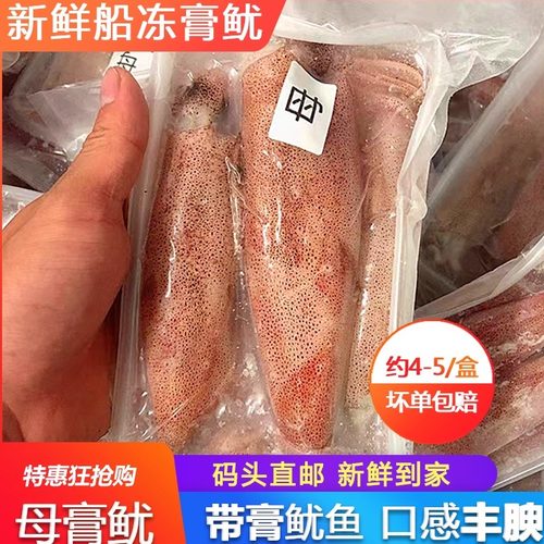 带膏海兔子母鱿鱼鲜活墨鱼仔海鲜水产冷冻一份400g装满膏笔管鱿鱼