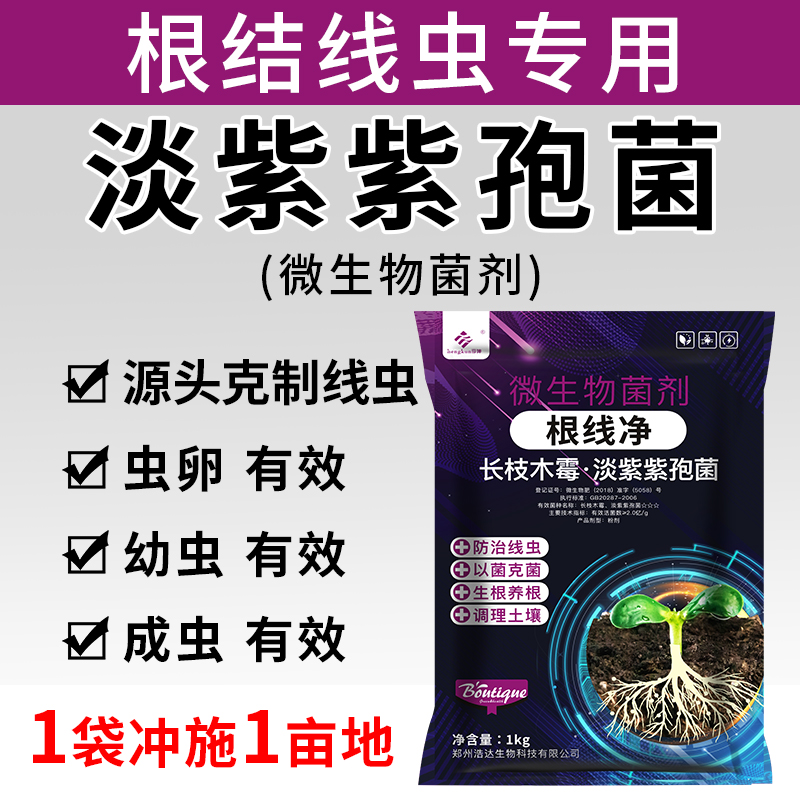 根结线虫专用药淡紫紫孢菌淡紫抑青霉根线虫根线清颗粒微生物菌剂