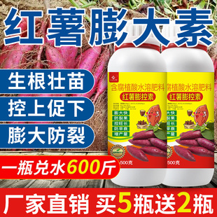 红薯控旺膨大素专用肥肥料根茎膨大剂叶面肥地瓜马铃薯高产膨大素