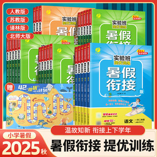应用题语文练字帖暑假作业衔接预习复习练习册暑期提优练 2025秋实验班暑假衔接提优训练一升二升三升四升五升六暑假口算暑假计算