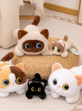 赛特嘟嘟正版大眼趴姿猫咪公仔新款趴趴白猫三花猫玩偶抱枕礼物