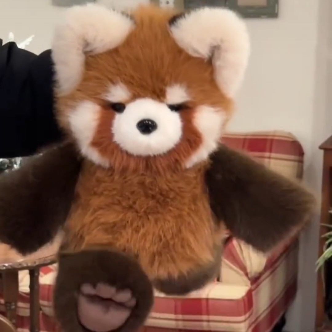 可爱小浣熊玩偶公仔毛绒玩具儿童抱枕布娃娃生日礼物送男生